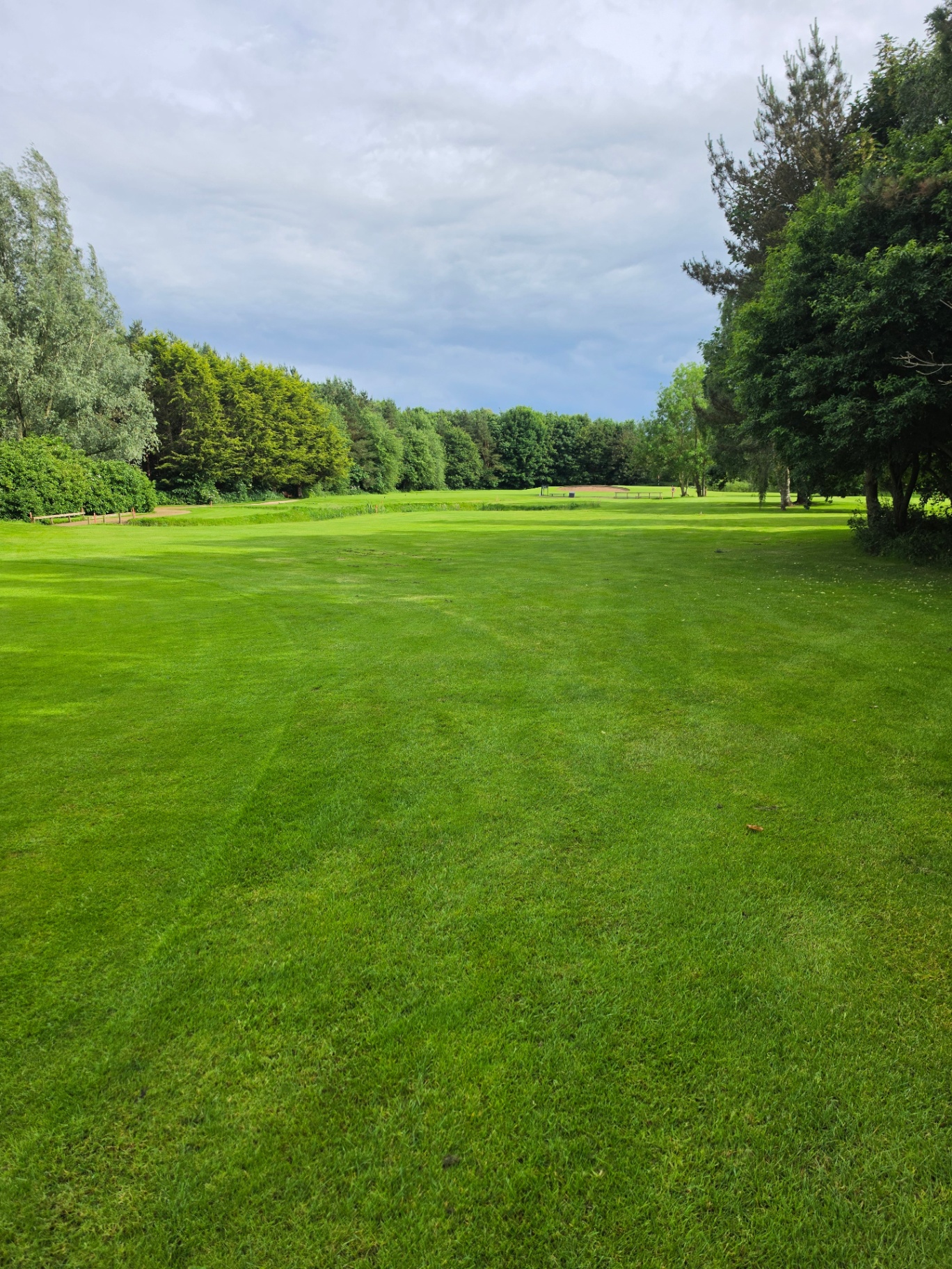 Open parkland fairway
