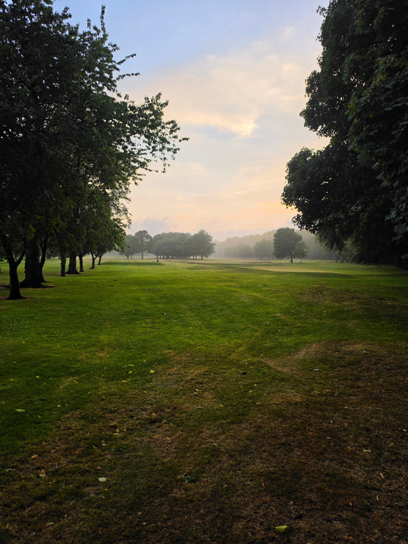 Misty sunrise over a North East England fairway lined with trees